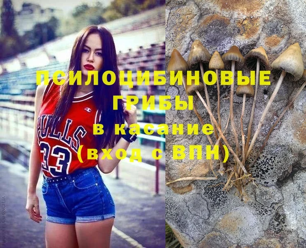 ПСИЛОЦИБИНОВЫЕ ГРИБЫ Лабытнанги
