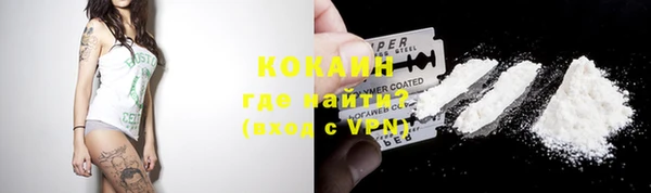 спайс Ладушкин