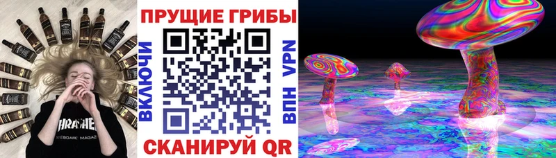 дарнет шоп Новотитаровская blacksprut онион Псилоцибиновые грибы GOLDEN TEACHER